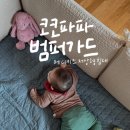 [내돈내산]코코파파 범퍼가드 무지연브라운 후기 _에디키즈 저상형 슈퍼싱글침대