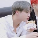 진은