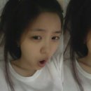 율설