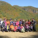 떡버들공원 | 주왕산 주산지, 절골, 주방천- 2011년 10월 26일