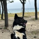 맘스터치 울진후포점 | 울진 커플 여행 :: 하트해변(스노쿨링 실패), 덕구온천호텔, 나곡식당, 죽변스카이레일, 기성망양해수욕장