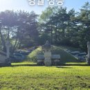 영월-10