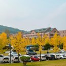 세발자전거유치원(구. 경희) | 원주에서의 3년 반 교수 생활 (2009. 9. 16)