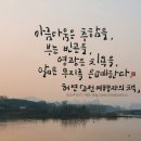아름다움캘리그라피
