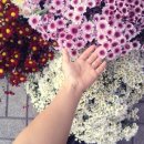 힐링캠프편의점 이미지