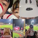 위즈애드 | [야구] 25.08.29(금) KT VS KIA (KT위즈파크, 내야 203구역, 요기타코야키, 언덕)