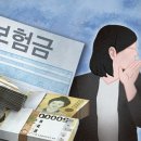 개정 거듭한 운전자보험 &#39;변호사선임비&#39;…역선택 반복 우려 이미지