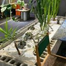 이배재로 59 이미지