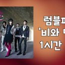 비와 당신 / 럼블피쉬 (1 Hour) 이미지