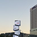 동구중학교 | 동구 양갈비 맛집 | 씨엔중식당❤️‍🔥 | 일산해수욕장중식당 | 대왕암양꼬치 | 울산동구어향가지 | 솔직후기