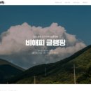 비해피