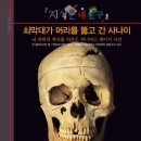 품걸별마당 | AI는 도달할 수 없는 영역 완벽한 기계는 모르는 불완전함 인간다움 가치 코엑스 별마당 강연 후기