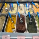 주정차37 | 강남역 젤라또 팔레트젤라또 다양하게 맛본 후기