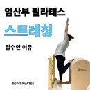 신장사거리(구.신장동사거리) | 사직동 필라테스 | 임산부 필라테스 스트레칭이 임산부에게 필수인 이유