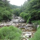 강릉 명품 산악회 6월 27일 야유회 이미지