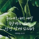 샬롬