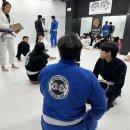 칼슨그레이시 코리아 이미지