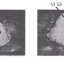 2강 영어음성학(English Phonetics) 이미지