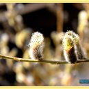 예원모텔 이미지