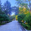 대륜동 미래공원1 | 서울 압구정 산책하기 좋은 곳 도산공원 후기