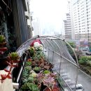 미니하우스 이미지