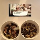 부산 여행기, 夏편