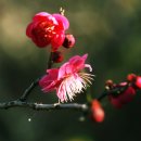 우공원