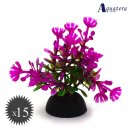 아쿠아테라 수족관 이미지