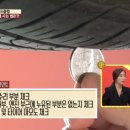 솔로몬카센타 네이버블로그
