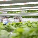 인터바이오 이미지