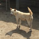 아르고스 이미지