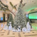 셰프스키친 이미지