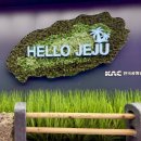 대정가든 | [제주도] 오설록 티 뮤지엄/ 오설록 가든 투어 후기