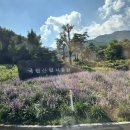 장애인전동보장구급속충전기(가야권) | 국립산림치유원 영주 l 예약 및 취소표 꿀팁 치유장비체험프로그램 숙소 식사 소개를 한번에