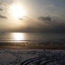 와야커피 이미지