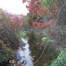 상동도서관 이미지