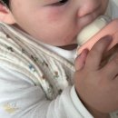 김풍년 | 2025년 11월