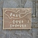 울산 솔마루길 트레킹 이미지