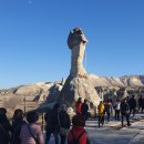 계곡속의동화 이미지