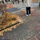 다연호프 이미지