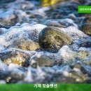 청솔카서비스 | 거제 럭셔리 스테이 | 거제 청솔펜션