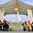 장성시장 이미지