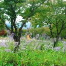 지리산허브밸리 이미지