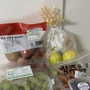 두루(DURU) 이미지