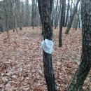 후평농장 이미지