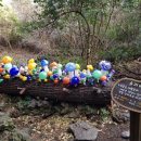 녹차분재로 이미지