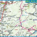 정광 이미지