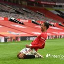 그린우드 이미지