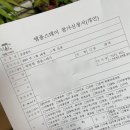 혜명농장 | [ 금강정사 ] 서울근교 체험형 템플스테이 | 절캉스를 빙자한 108배 및 등산 체험기