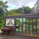 애견시선 이미지